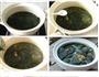 韩式海带汤的做法图解4
