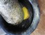 撒尿鱼丸的做法图解6