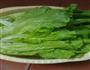 蒜蓉生菜的做法图解1