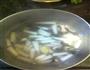 木耳冬瓜瘦肉汤的做法图解5