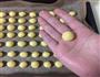 小饼干的做法图解6