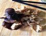猪肝粉肠粥的做法图解6