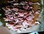 筋肉胡萝卜锅的做法图解3