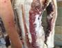 蒜苔炒腌肉的做法图解1
