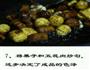 五花肉烧板栗的做法图解7