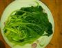 白焯芽菜的做法图解3