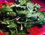 凉拌菠菜的做法图解1