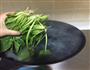 白灼菠菜的做法图解2