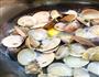 酒酿文蛤的做法步骤4