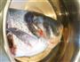 梁食鱼头火锅的做法步骤1