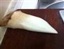 肉丸子鹌鹑蛋香菇汤的做法图解6