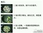 糖醋排骨的做法图解1