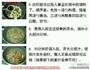 糖醋排骨的做法图解2