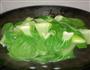 鸭血油菜豆芽粉丝的做法图解2