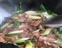 大葱炒里肌肉的做法图解3