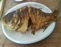 红烧花鲢的做法图解4