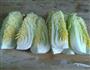 炖娃娃菜的做法图解4