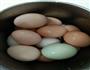 五香茶鸡蛋的做法图解1