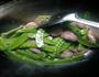 荷兰豆炒腊肠的做法图解4