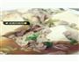 豆腐焖猪肉的做法图解5