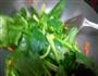 菠菜鸡蛋面的做法图解4