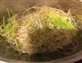 甜蜜蜜的麦芽糖的做法图解3