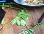 芹菜烧千叶豆腐的做法图解2