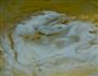 蔓越莓饼干的做法图解2