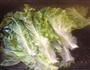最美味的生菜吃法的做法图解2