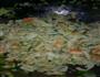 山西特色名吃拨烂子的做法图解13