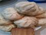 猪肉大葱水煎包的做法图解4