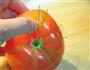 番茄炒鸡蛋-附切西红柿不流汤和去皮的方法的做法图解14