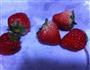 莓瑰strawberryonly的做法图解1