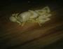 火爆大头菜的做法图解2