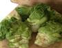 炒儿菜的做法图解1
