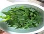 蒜苗回锅肉的做法图解4