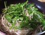 炝炒春芽儿菜的做法图解6