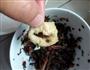 油豆腐包肉炖粉条的做法图解4