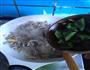 肉末茄子煲的做法图解8