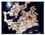 香菇卤肉饭的做法图解3