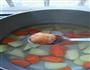 彩蔬鸡肉丸子汤的做法图解5