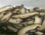 韩式炒杂菜的做法图解4