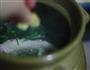 西洋菜陈肾生鱼汤的做法图解6