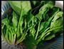 红烧口蘑菠菜的做法图解2