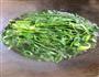 凉拌菠菜的做法图解3