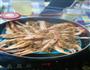特百惠蒜蓉蒸虾的做法图解13