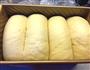 北海道吐司的做法图解7