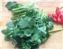 爆炒花甲肉的做法图解3