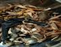 手撕柠檬鸡的做法图解3