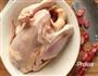 荷香鸡的做法图解1